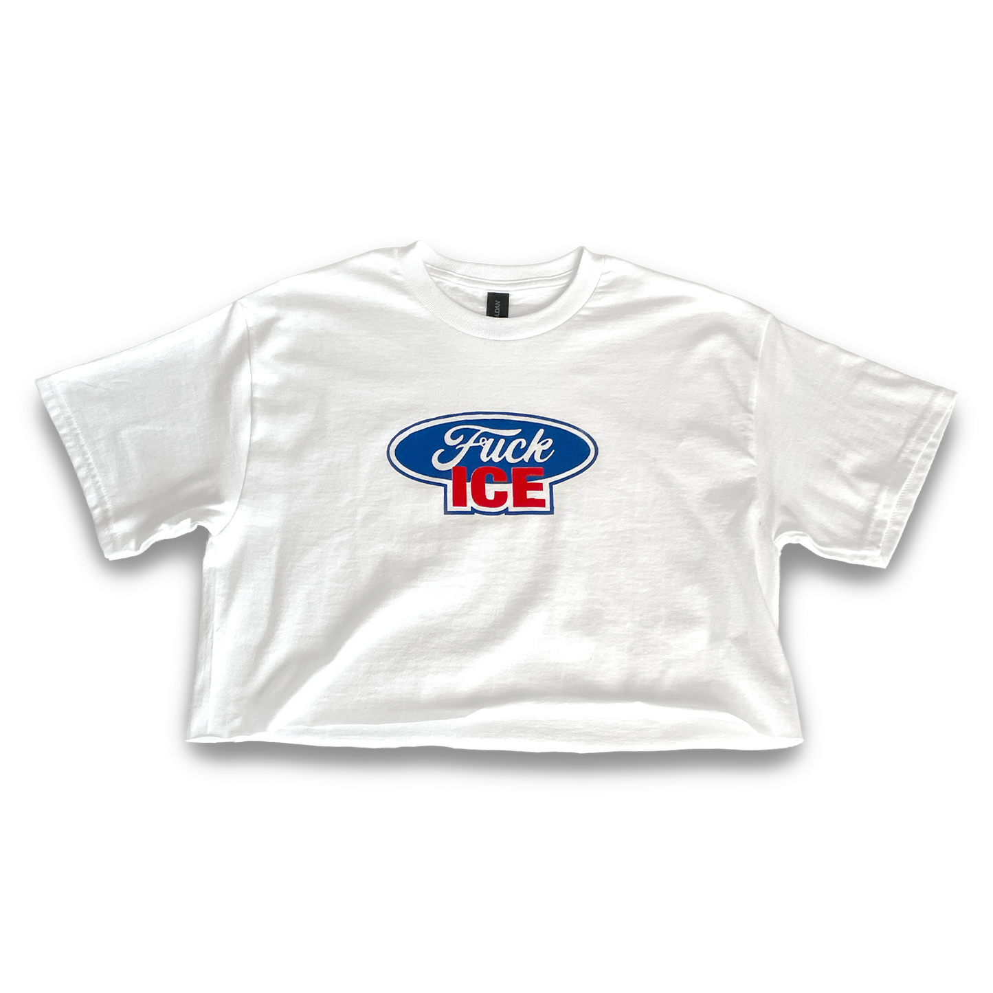 Fuck Ice T-Shirt