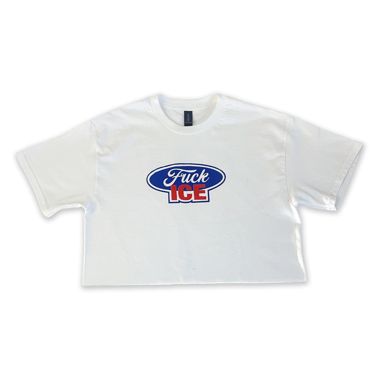 Fuck Ice T-Shirt